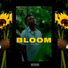 Sipho the Gift