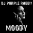 DJ Purple Rabbit