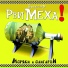 Форт Росс