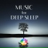 Sleep Music Laboratory