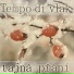 Tempo di vlak