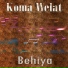 Koma Welat