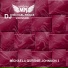 Michael Prince Johnson