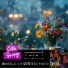 City Swing