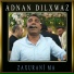 Adnan Dilxwaz