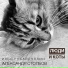 Александр Столбов, Илья Губайдуллин
