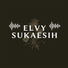 Elvy Sukaesih