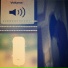 Choi