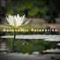 Relaxing BGM Project
