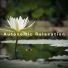 Relaxing BGM Project