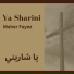Maher Fayez
