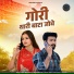 Salim Shekhawas, Shilpa Bidawat
