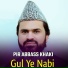 Pir Abbass Khaki