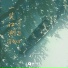 清水er