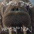 Walrus Beats