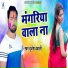Brijesh Bavali