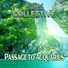 Unified Collective