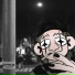 DiMiDROU feat. DOOMSHEEVA