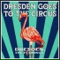 Dresden, The Flamingo