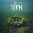ТЁРН