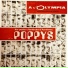 Les Petits Chanteurs d'Asnières, Les Poppys