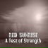 A Test of Strength