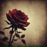 LOVERHOUSE