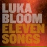 Luka Bloom