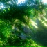 akiinssw