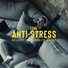 Ensemble de Musique Zen Relaxante