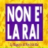 Le Ragazze di Non è la Rai