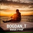 BOGDAN T