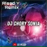 Risad Remix