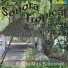 La Sonora Tropical