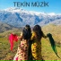 Tekin Müzik