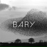 BARY