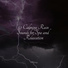 Yoga Rain, Natural Sounds, Pet Care Music Therapy