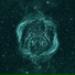 Nebula Orionis
