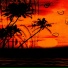 Tetra Baby