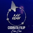 Codruta Filip