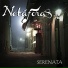 Netáforas