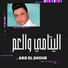 Abo El Shouk