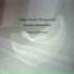 Steven Schondler, John Chen Fitzgerald