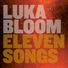 Luka Bloom