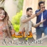 Malek Al Iraqi, Haidar Al Ghazal