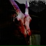 Unholy Eternity