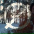кошки нет