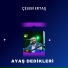Çelebi Ertaş