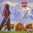 Jiyan