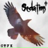 Sedation